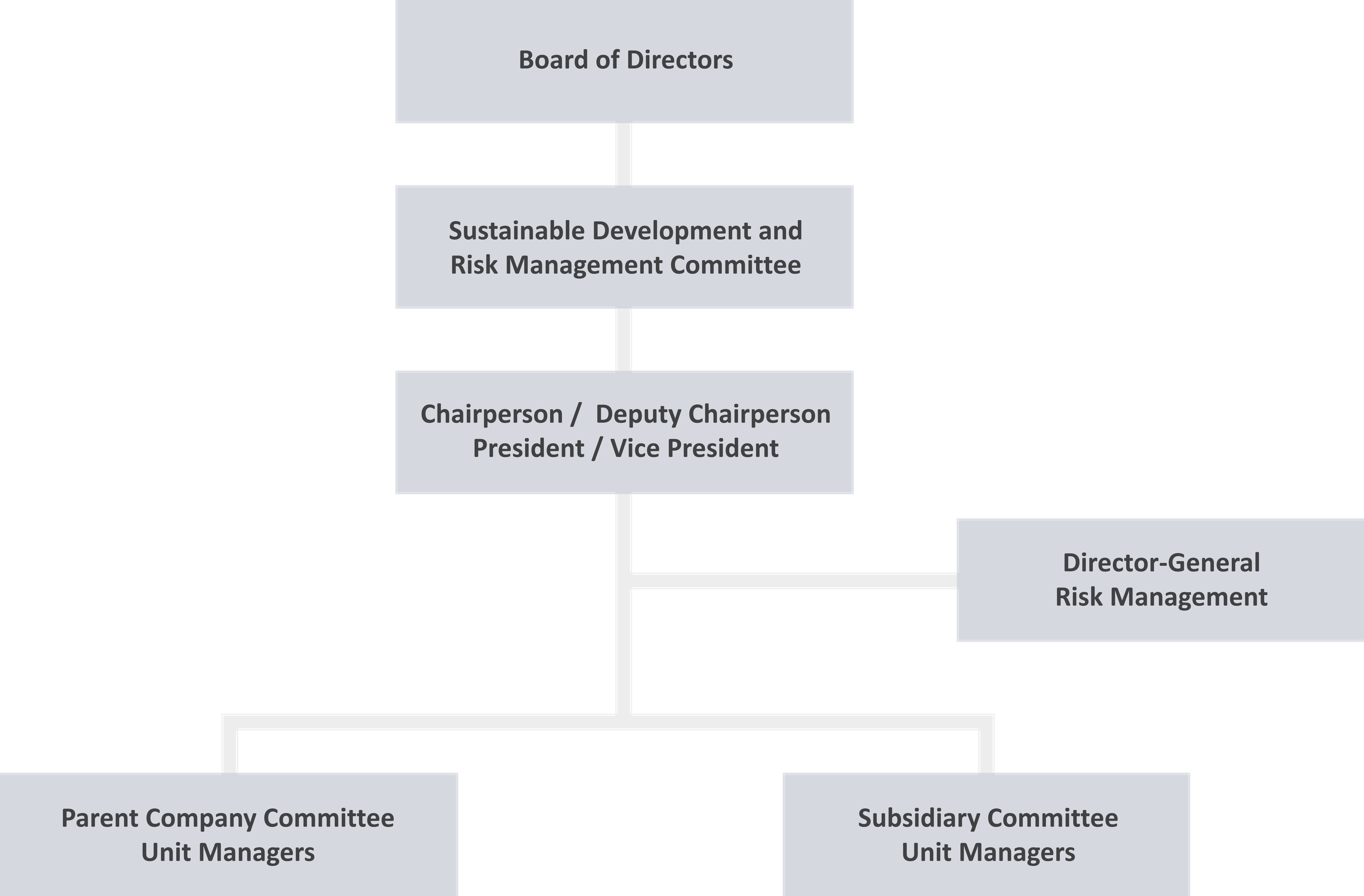 Risk Management Organizational Structure